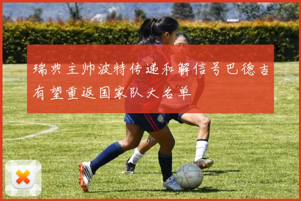 瑞典主帅波特传递和解信号巴德吉有望重返国家队大名单