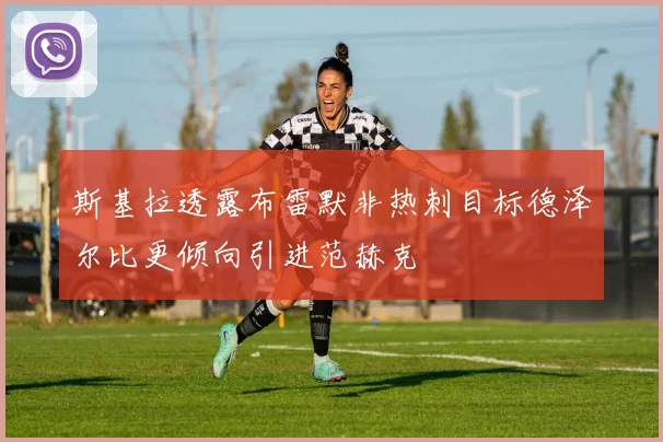 斯基拉透露布雷默非热刺目标德泽尔比更倾向引进范赫克